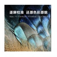 MAXHUB会议平板交互式电子白板黑板互动智能多媒体一体机会议电视CF65MA